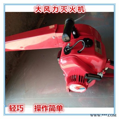 森林**风机送风机 小型汽油吹雪机 多功能便携吹风机报价图5