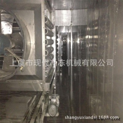 供应SSD隧道速冻设备，单体速冻机，速冻机厂家 冷冻食品加工设备图2