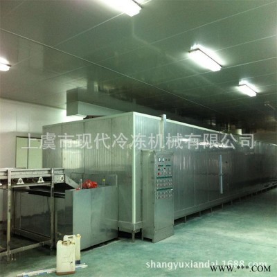 供应SSD隧道速冻设备，单体速冻机，速冻机厂家 冷冻食品加工设备图3