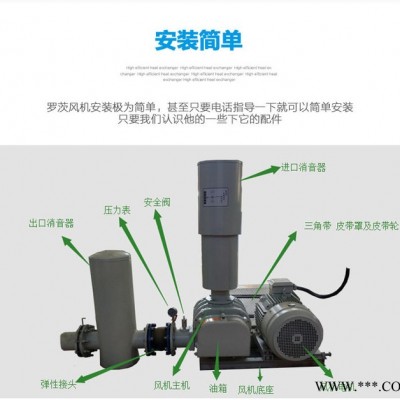 引持专业生产 罗茨风机 三叶罗茨风机  罗茨鼓风机 噪音低 强度高 寿命长图3