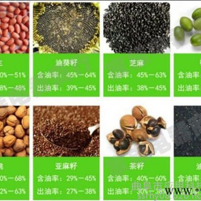 科阳牌全自动螺旋式榨油机大豆液压榨油机榨油设备三级压榨一次出净真空过滤出精油 粮食加工设备图2