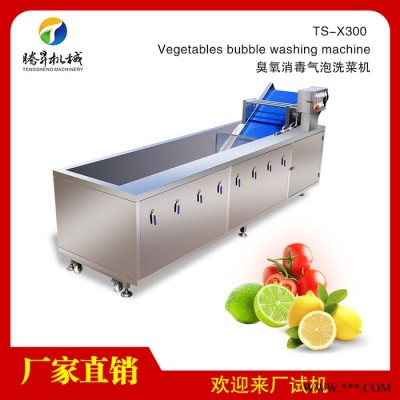 腾昇厂家净菜加工清洗设备 多功能叶菜洗菜机 食堂果蔬洗菜机 洗菜机厂家价格图3