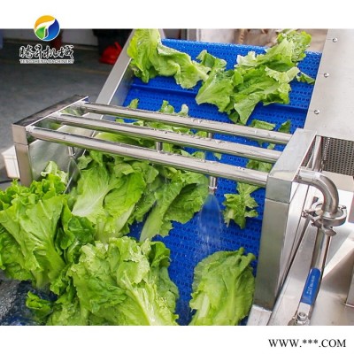 腾昇厂家净菜加工清洗设备 多功能叶菜洗菜机 食堂果蔬洗菜机 洗菜机厂家价格图6