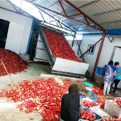 百信辣椒烘干机     大型辣椒网带式烘干机厂家价格   重庆辣椒烘干机 辣椒烘干加工设备图3