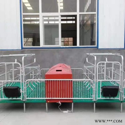 淄博复合母猪产床 养猪设备母猪产床 加工批发图5