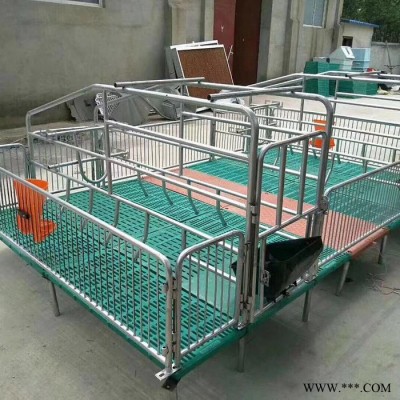 淄博复合母猪产床 养猪设备母猪产床 加工批发图8