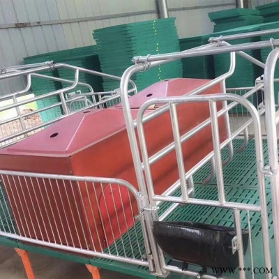 淄博复合母猪产床 养猪设备母猪产床 加工批发图6