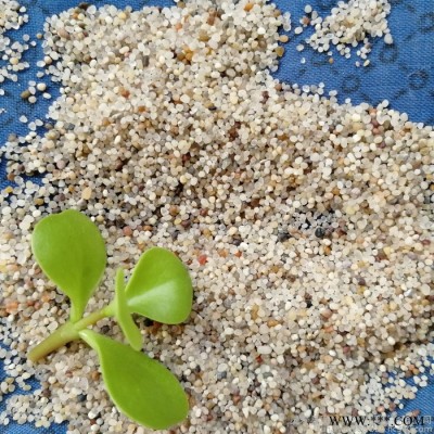 厂家批发**矿物汗蒸沙 沙疗床厂家定制加工贴牌 沙疗设备批发图7