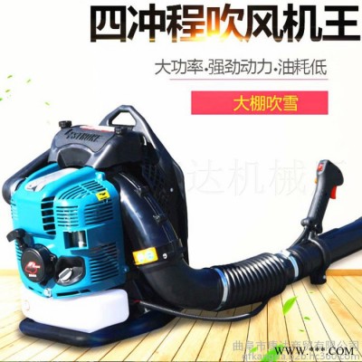 道路清理吹风机  背负式汽油吹风机  汽油动力吹风机图7