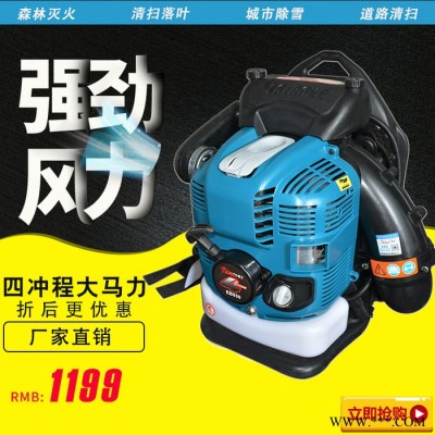EB850四冲程吹风机 背负式吹风机 便携式吹风机厂家图2