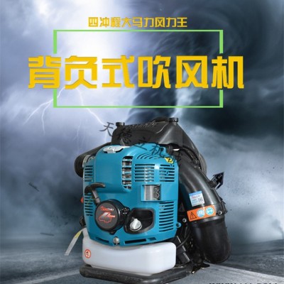 EB850四冲程吹风机 背负式吹风机 便携式吹风机厂家图3