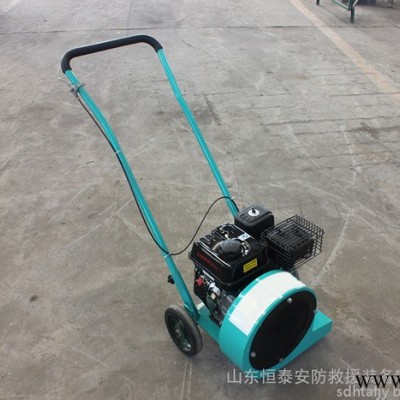 马路吹风机 手推式路面吹风机图3