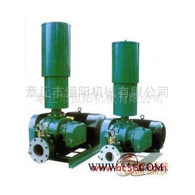 供应恒阳HYSR50-300恒阳风机/章丘鼓风机图2