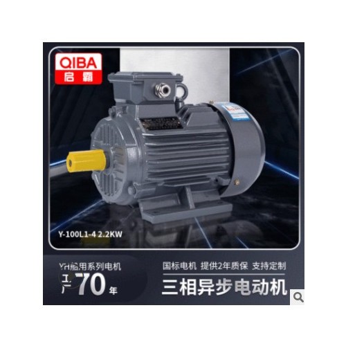 厂家现货批发2极2.2kw船用系列高效率电机100L马达三相异步电动机图3