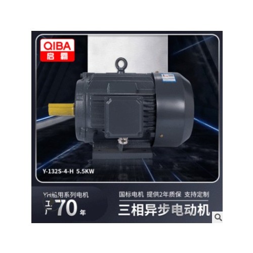 厂家现货批发4极5.5kw船用系列高效率电机132S马达三相异步电动机图3