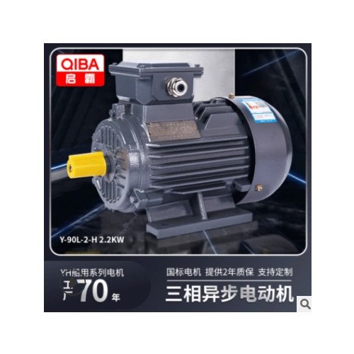 厂家现货批发2极2.2kw船用系列高效率电机90L马达三相异步电动机图3