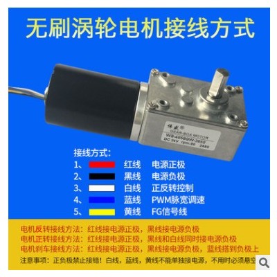 伟盛4058GW直流无刷涡轮蜗杆减速电机12V24V涡轮蜗杆图3