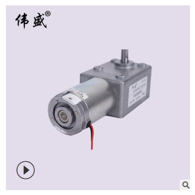 涡轮蜗杆减速电机WS-5882GW低速微型马达大力矩涡轮蜗杆减速电机