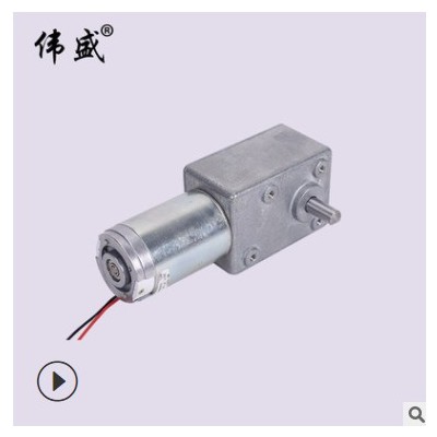 涡轮蜗杆减速电机WS-5882GW低速微型马达大力矩涡轮蜗杆减速电机图2