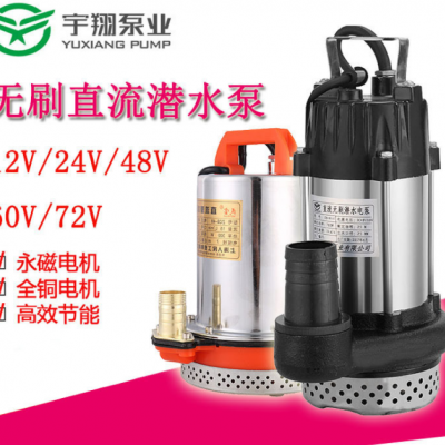 不锈钢直流无刷潜水泵12V24V48V60V家用高扬程潜水泵电瓶车抽水泵