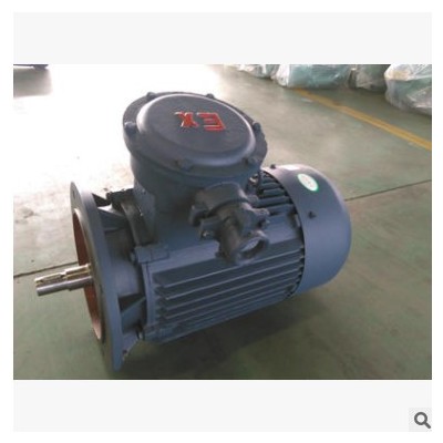 非标隔爆/防爆型 三相异步电动机 全铜丝 22KW-4图2