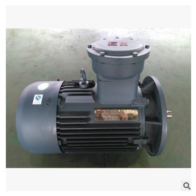 非标隔爆/防爆型 三相异步电动机 全铜丝 22KW-4图1