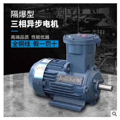 YB3电机防爆电机YBX3-112M-2 4KW江苏高科电机隔爆电动机厂家直销图2