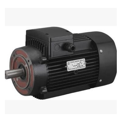厂家直销 江苏高科 买一送二 高效铝壳电机 YX3-90L-2 2.2KW图3