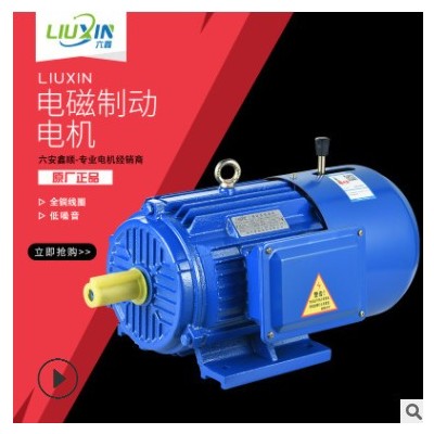 刹车电机厂家优质 现货YEJ200L2-2 37KW电磁制动三相异步电动机图3