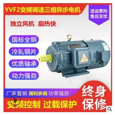 YVF2三相变频调速电动机0.55/0.75/1.1//1.5/2.2/3/4kw380V电动机图3
