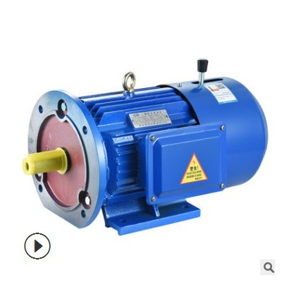 供应YEJ160M2-2极 15KW电磁制动三相异步电动机 YEJ2制动刹车电机图2