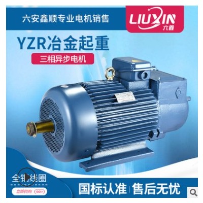 厂家直销YZR250M2-6-45KW起重及冶金用绕线转子三相异步电动机图3