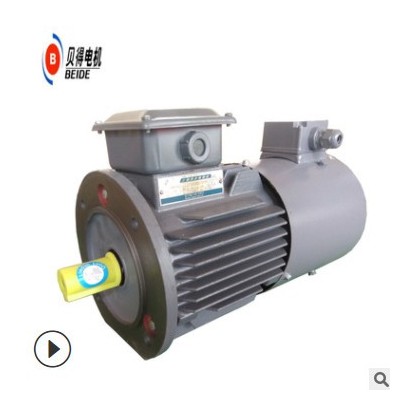 浙江嘉兴市西门子贝得电机三相异步电机1TL0001-1BA23-3AA5/4KW图2