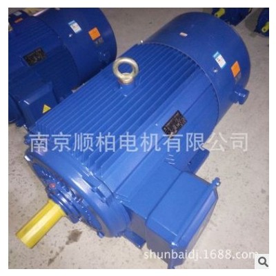 厂家现货供应YE2-315L2-10 90KW三相异步电动机/Y2国标纯铜电机图3