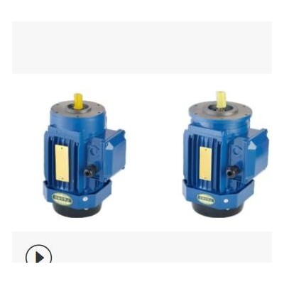 浙江银达YX3系列方形风罩铝壳电机120W-7.5KW图3