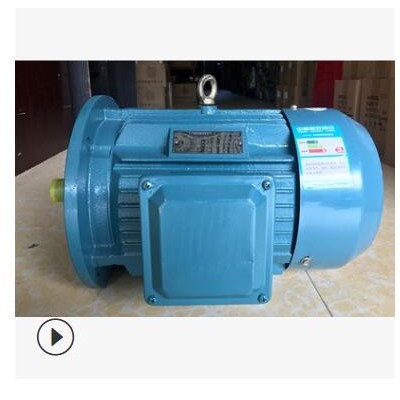 丹东山川YE2铝壳立式电机YE2-8014/550W YE2-8024/750W图3