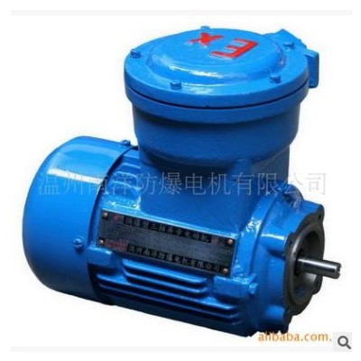 供应隔爆型电机（防爆电机）YB2-7124 0.37kW图2