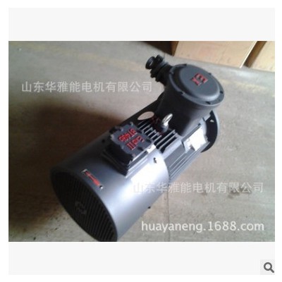 YYB-250M-8-30电机IP68潜水YQB电机带编码器5-100HZ变频标准生产图3