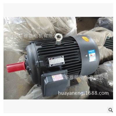 替代西安西玛电机HM2EJ-160M-4-11KW电机定制60HZ 50HZ功率11 4极图3