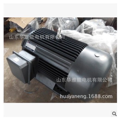 替代西安西玛电机HM2EJ-160M-4-11KW电机定制60HZ 50HZ功率11 4极图2