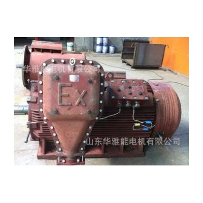 YZRE225M-8-22KW电机IP66防护等级YZR等级B35标准双伸轴415V/50HZ图2