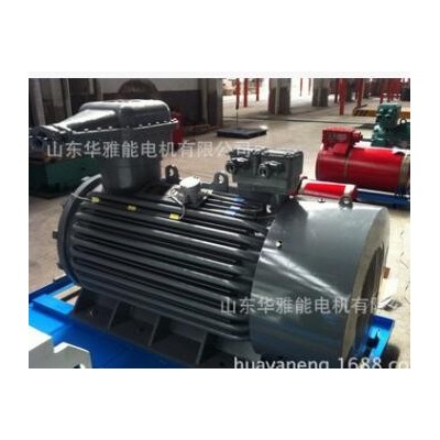 YZRE225M-8-22KW电机IP66防护等级YZR等级B35标准双伸轴415V/50HZ图3