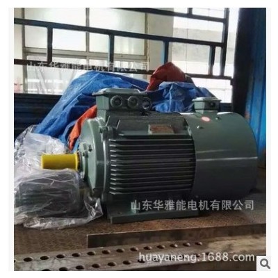 YXN315M-4-132电机喇叭口接线盒YXN电机山舞银蛇欲与天公试比高图3