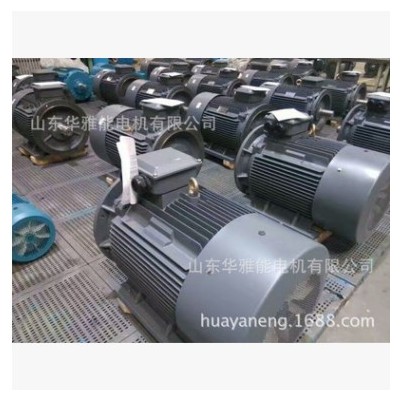 华雅能BM-355M1-4-220KW电机可替代ABB电机功率220KW转速4极F级图3
