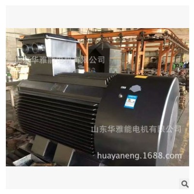 华雅能BM-355M1-4-220KW电机可替代ABB电机功率220KW转速4极F级