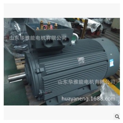 华雅能YE2-280M-4-90KW电机替代清江电机4极转速功率90KW安装可选图2