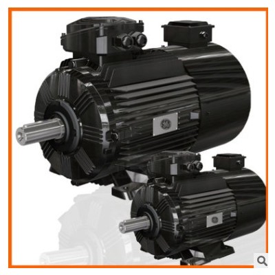 GE三相AC380V传动15KW电机水泵风机电机WEBP3-160M2图2