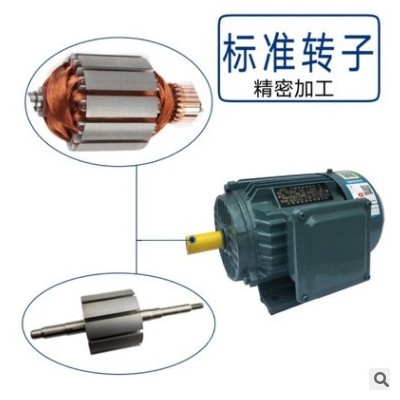 江苏利多电机YE3系列10极55-132KW三相异步电动机 变频调速