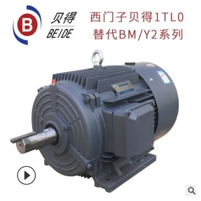 西门子贝得电机1TL0001贝德三相电动机马达卧式立式2极原厂BM图3