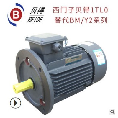 西门子贝得电机1TL0001贝德三相电动机马达卧式立式2极原厂BM图2